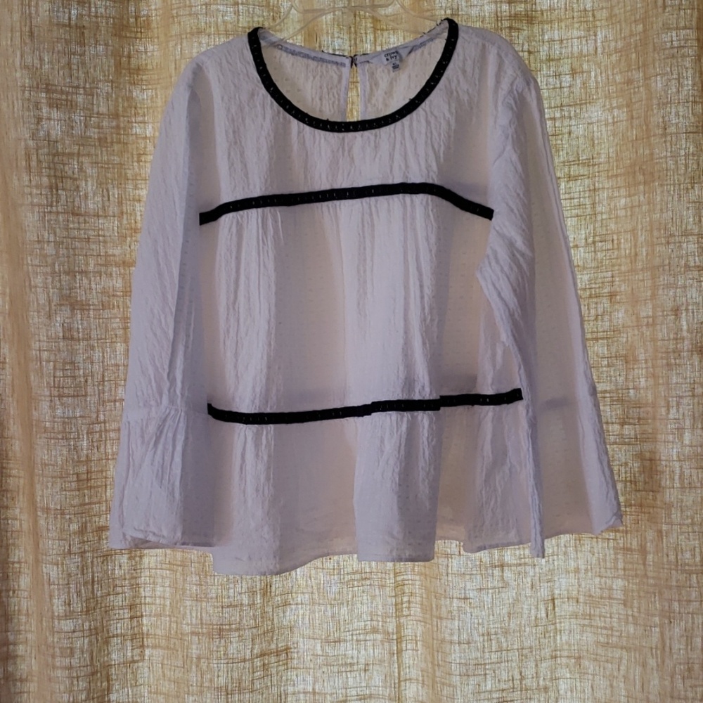 Light dotted Swiss crown&ivy blouse